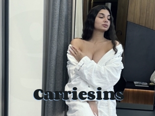 Carriesins