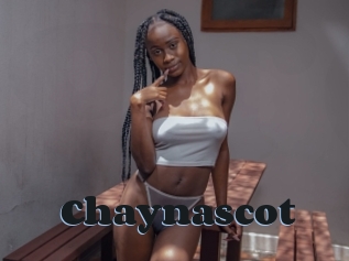 Chaynascot