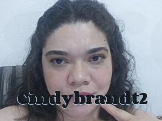 Cindybrandt2