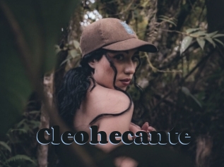 Cleohecante