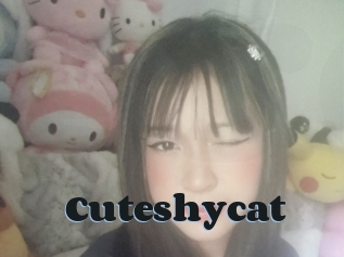 Cuteshycat