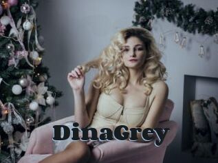 DinaGrey