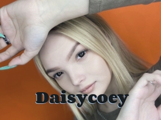 Daisycoey