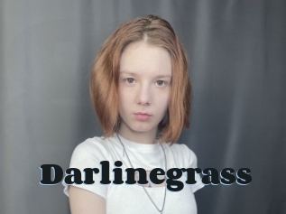 Darlinegrass