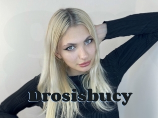 Drosisbucy