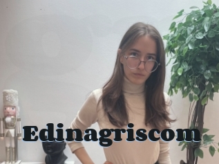 Edinagriscom