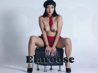 Elaroose