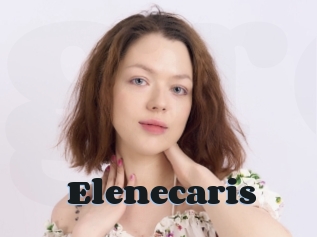 Elenecaris