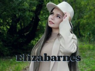 Elizabarnes