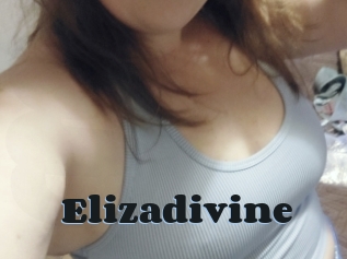 Elizadivine