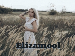 Elizamool