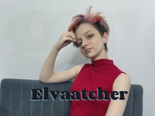 Elvaatcher