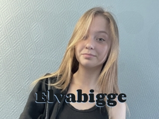 Elvabigge