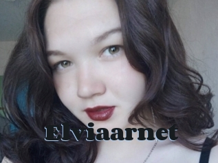 Elviaarnet