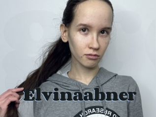 Elvinaabner