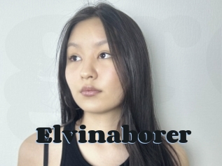 Elvinaborer