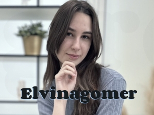 Elvinagomer