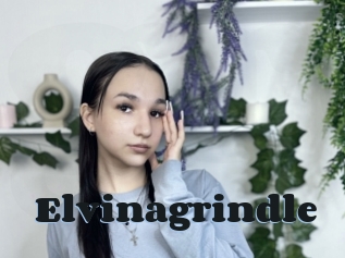 Elvinagrindle