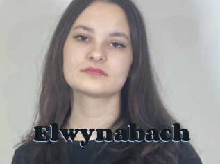 Elwynabach