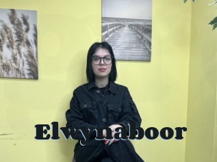 Elwynaboor