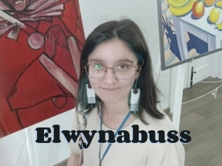 Elwynabuss