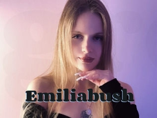 Emiliabush