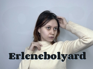 Erlenebolyard