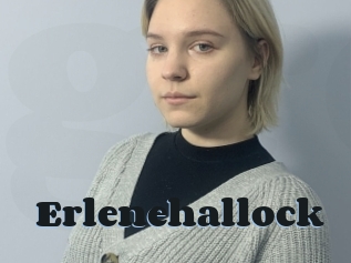 Erlenehallock