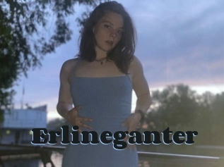 Erlineganter