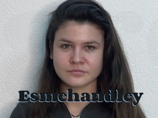 Esmehandley