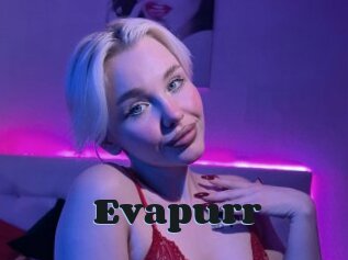 Evapurr