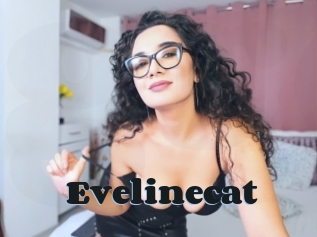 Evelinecat