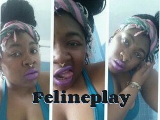 Felineplay