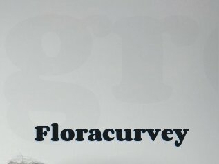 Floracurvey