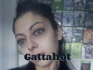 Gattahot