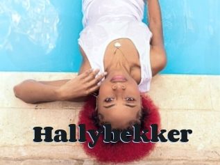 Hallybekker