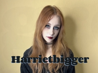 Harrietbigger