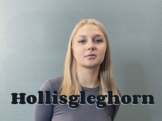 Hollisgleghorn