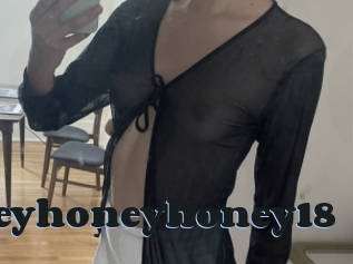 Honeyhoneyhoney18