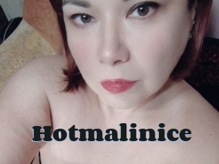 Hotmalinice