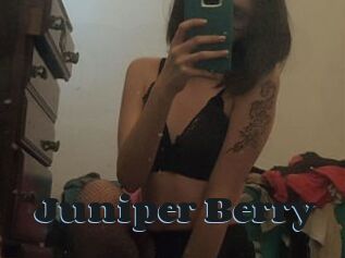 Juniper_Berry