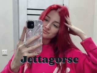 Jettagorse