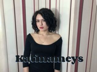 Katinameys