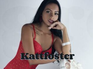 Kattfoster
