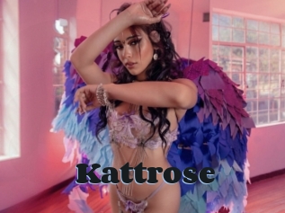 Kattrose