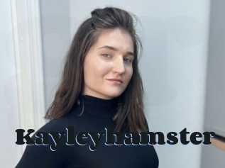 Kayleyhamster