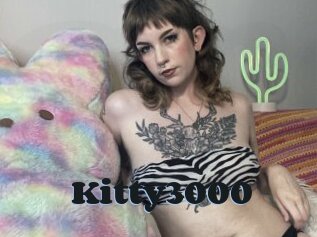 Kitty3000