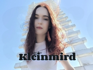 Kleinmird