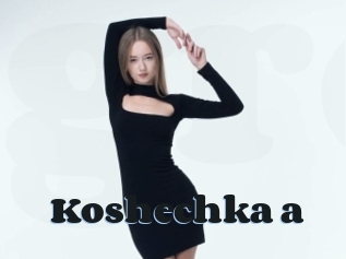 Koshechka_a