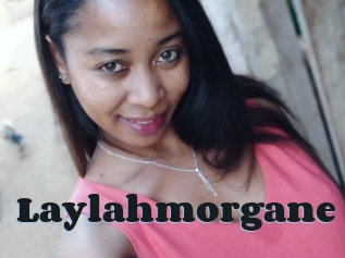 Laylahmorgane